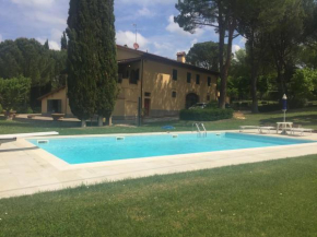 Talli Francesco - Casanova 3 Montespertoli